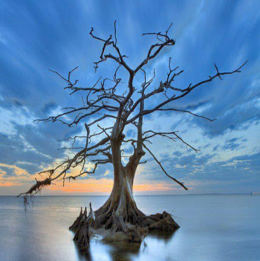 Jacob Allen Photo 45