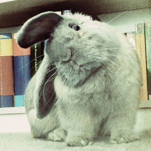 Marshall Phillips Photo 14