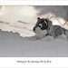 Michelle Wolf Photo 14