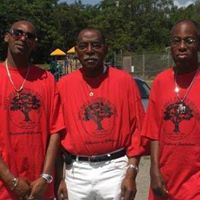 Curtis Mitchell Photo 13