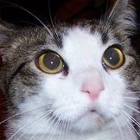 Michael Butts Photo 2