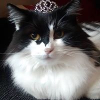 Sara Davidson Photo 47 Sara Davidson Photo 47