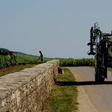 Andy Stewart Photo 49 Andy Stewart Photo 49