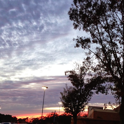 Denise Lawson Photo 27