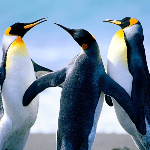 Sarah Dobbs Photo 41