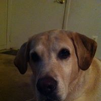 Todd Richman Photo 8