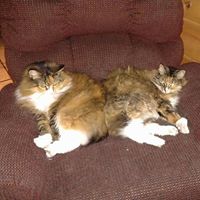 Anne Girard Photo 10