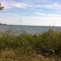 Debbie Mckittrick Photo 6