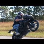 David Paull Photo 25