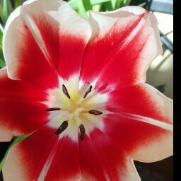 Hannah Connor Photo 17