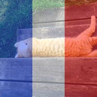 Anne Stephens Photo 5