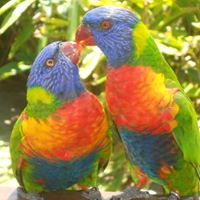 Shannon Payne Photo 20