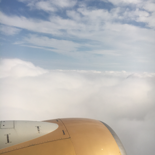 Laura Pappas Photo 15