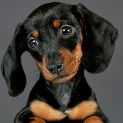 Julianne Lambert Photo 14