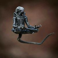 Erick Wright Photo 43