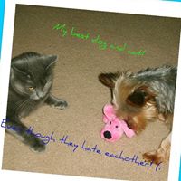 Annmarie May Photo 1