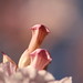 John Vines Photo 20