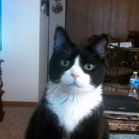 Debbie Reinhart Photo 10