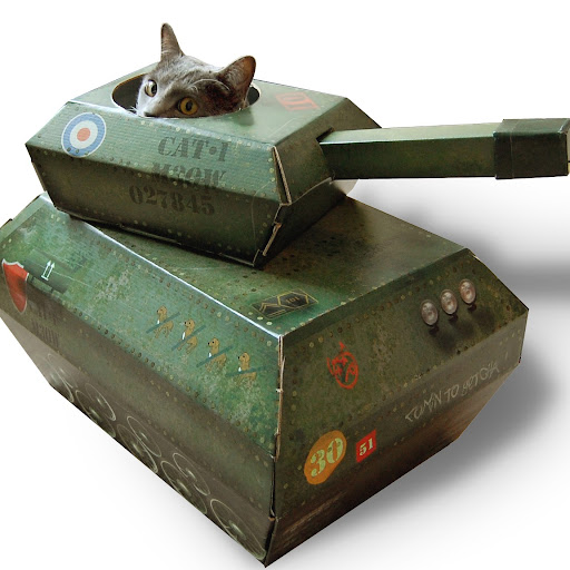 Jeremy Blake Photo 33