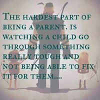 Stephen Sanborn Photo 39