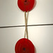 Jacqueline Knight Photo 19