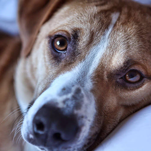 Christine Randall Photo 17