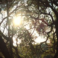 Michael Cone Photo 13