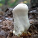 Robert Forsyth Photo 13