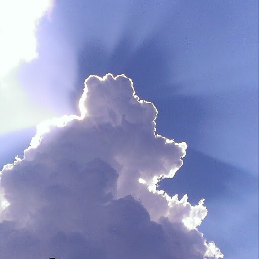 Robert Moreno Photo 32