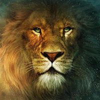 Eugene Irvin Photo 6