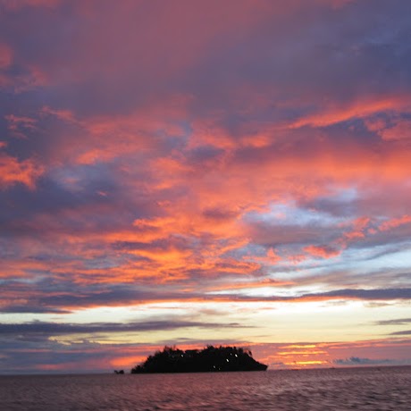 Julian Curtis Photo 6