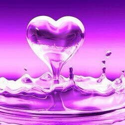 Susan Dickey Photo 29 Susan Dickey Photo 29