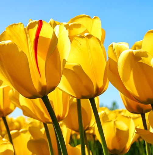 Judith Harrison Photo 40