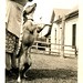 Julia Perry Photo 26