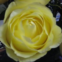Barbara Brigham Photo 19
