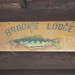 Brookie Wood Photo 11