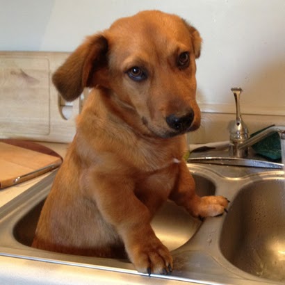 David Crane Photo 21 David Crane Photo 21