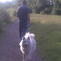 Sharon Hurst Photo 14