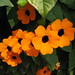 Carmen Flores Photo 23