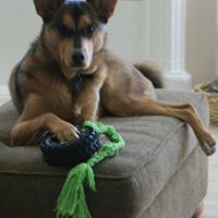 Cheryl Horner Photo 29