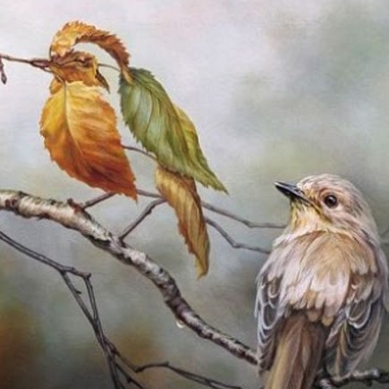 Vicki Campbell Photo 5