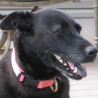 Alicia Clevenger Photo 8