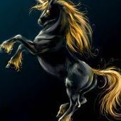 Kelly Flemming Photo 15