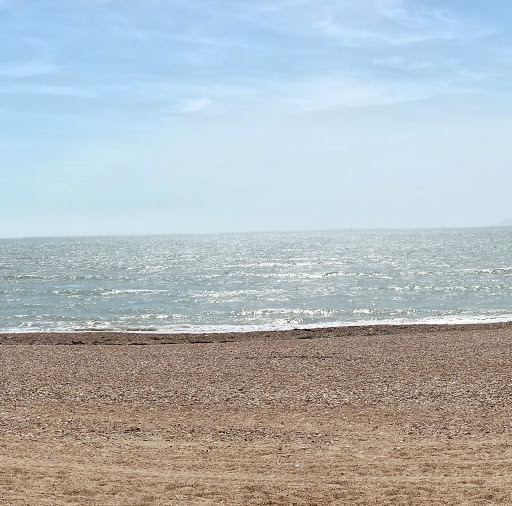 Stephen Lane Photo 16