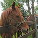Teresa Becker Photo 11