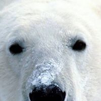 Lee Wesley Photo 6 Lee Wesley Photo 6