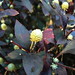 Joy Coats Photo 15