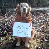 Christopher Deloach Photo 18