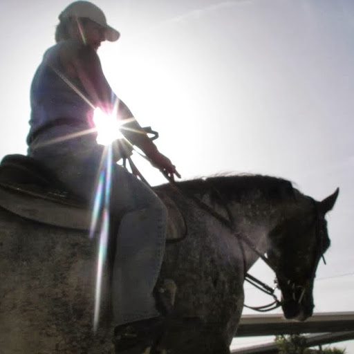 Cindy Quick Photo 13