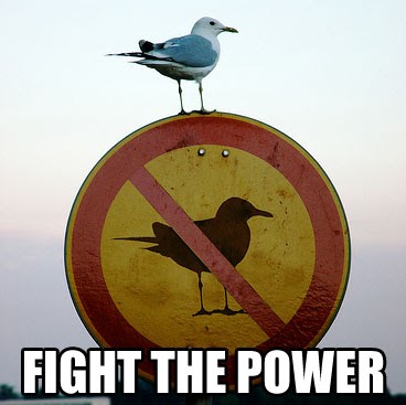 William Pierson Photo 11 William Pierson Photo 11